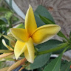 Meet your Posher, Adorable